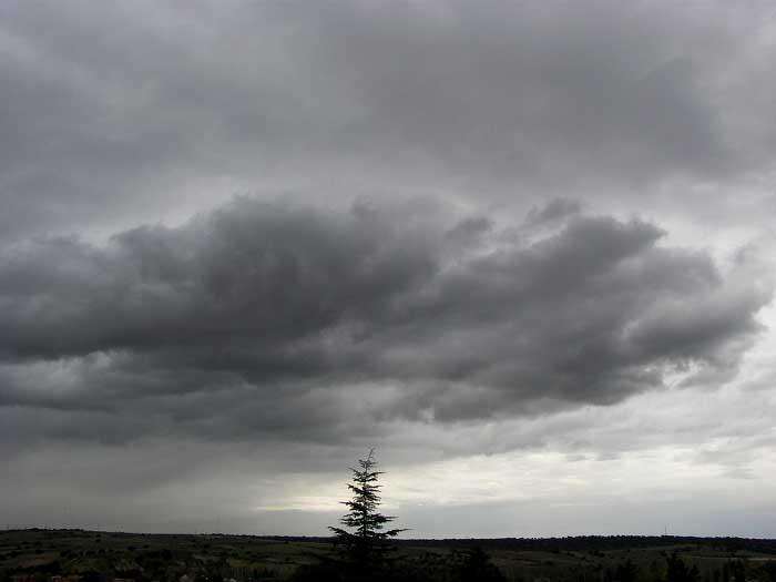 cielos1372.jpg