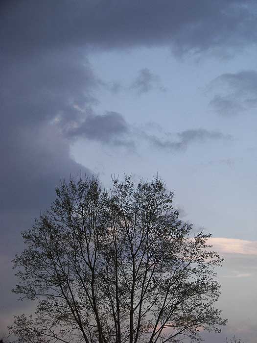 cielos1373.jpg