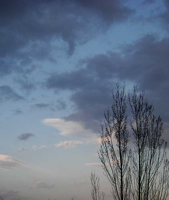 cielos1374.jpg