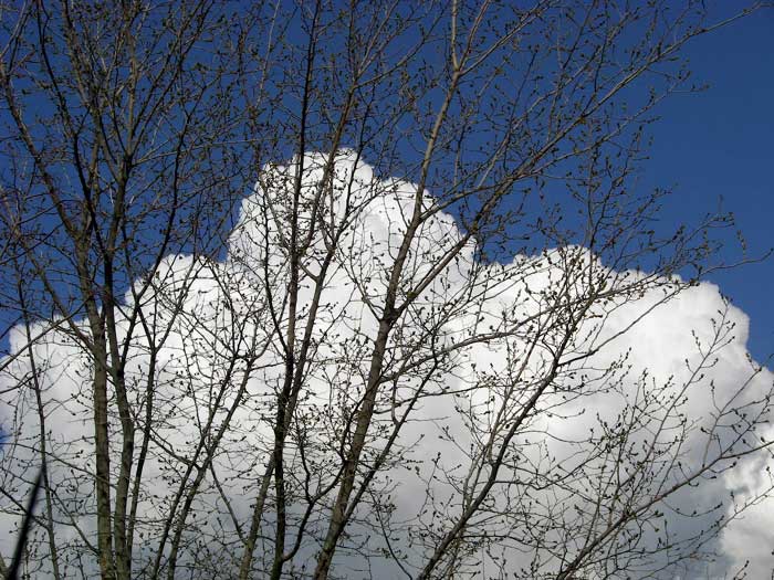 cielos1378.jpg