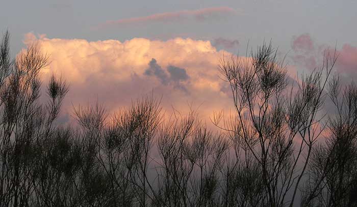 cielos1379.jpg