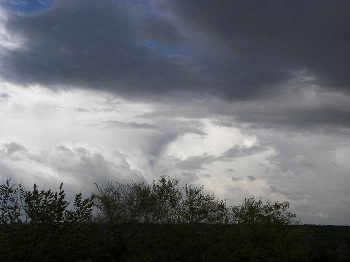 cielos1380.jpg