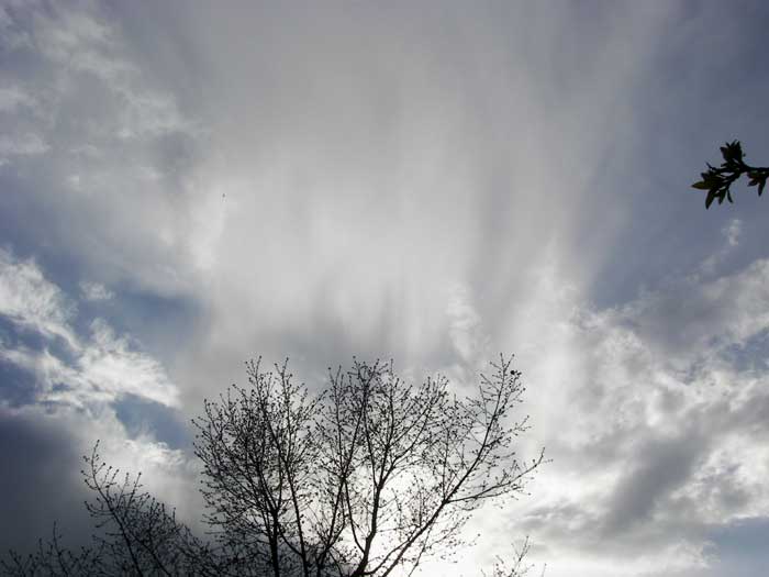 cielos1386.jpg