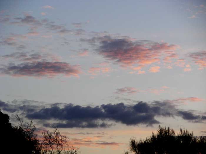 cielos1450.jpg