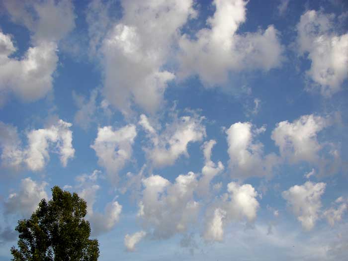 cielos1458.jpg