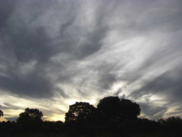 cielos1461.jpg