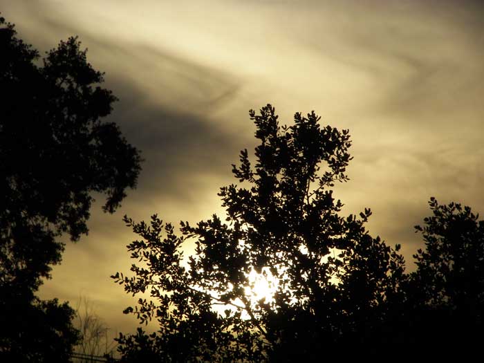 cielos1464.jpg