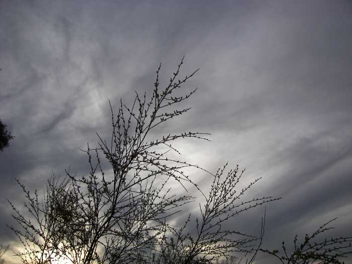 cielos1465.jpg
