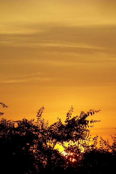 cielos1480.jpg