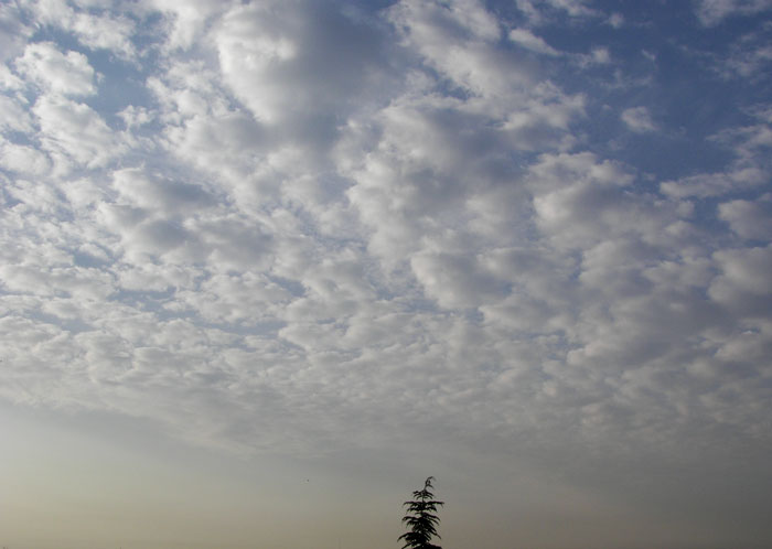 cielos1486.jpg