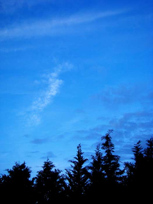 cielos1488.jpg