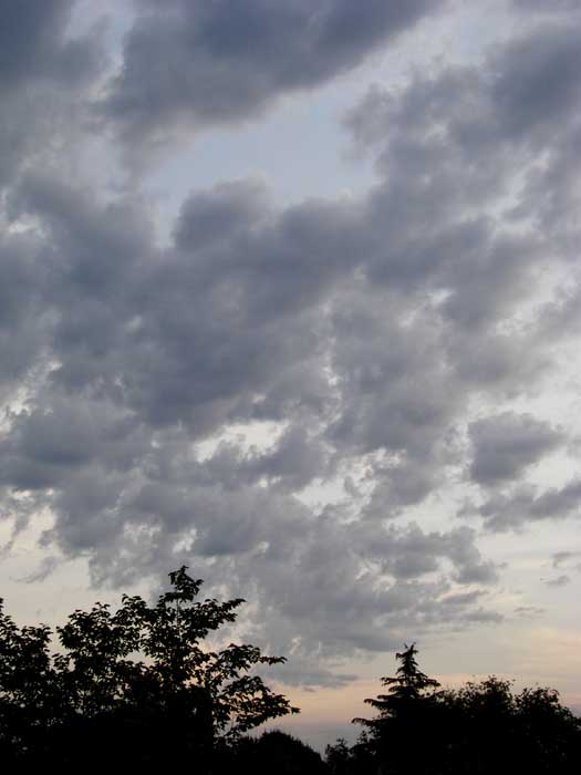 cielos1489.jpg