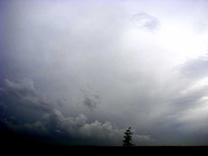 cielos1490.jpg