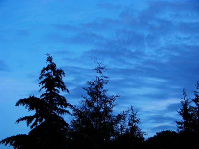 cielos1491.jpg