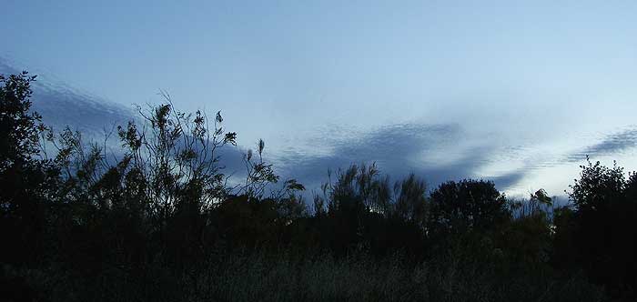 cielos1496.jpg