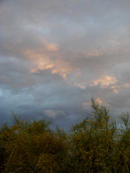 cielos1503.jpg