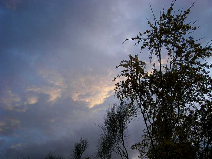 cielos1505.jpg