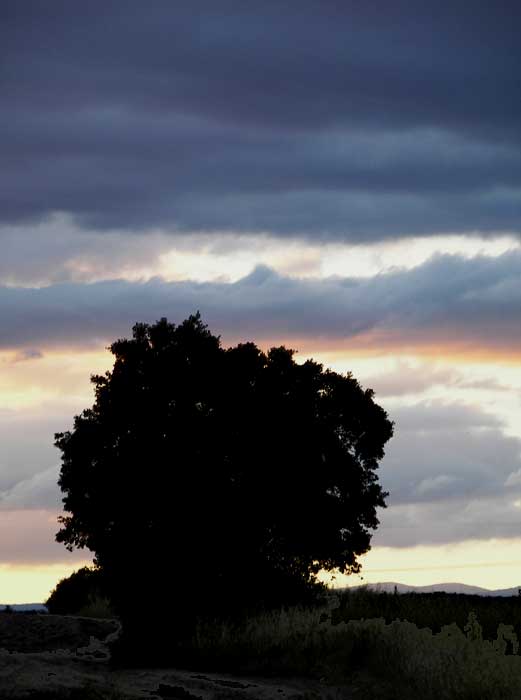 cielos1506.jpg