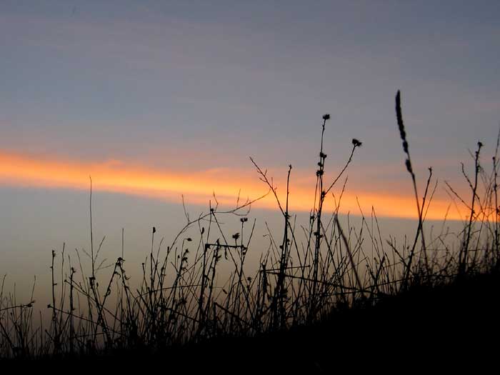 cielos1512.jpg
