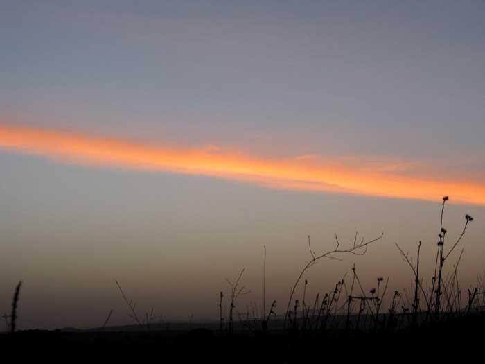 cielos1515.jpg