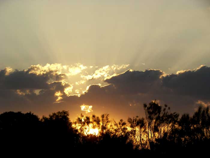 cielos1516.jpg