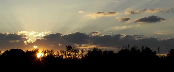 cielos1517.jpg