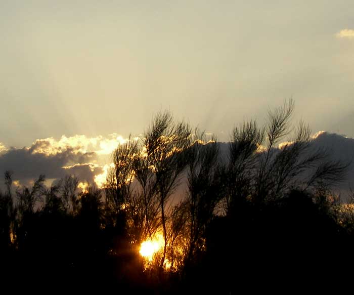 cielos1518.jpg