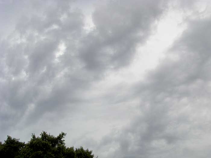 cielos1534.jpg