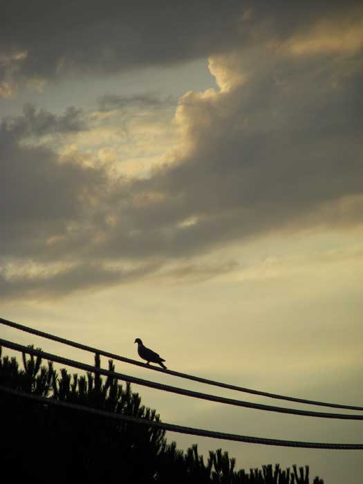 cielos1545.jpg