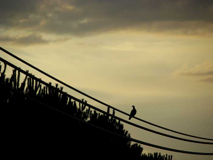 cielos1546.jpg