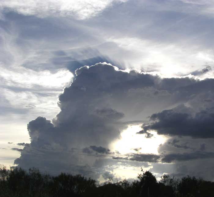cielos1547.jpg