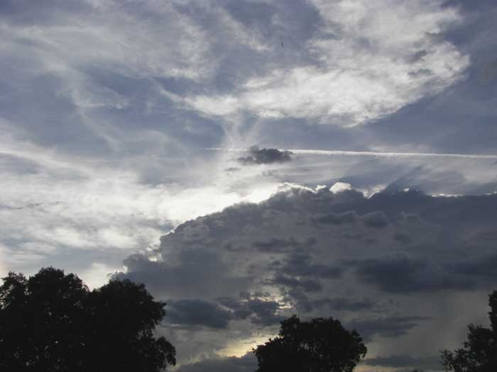 cielos1550.jpg