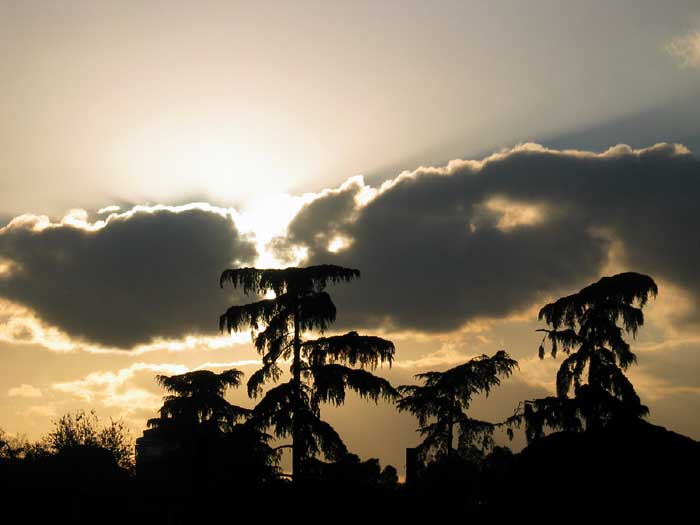 cielos1562.jpg