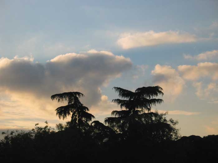 cielos1564.jpg
