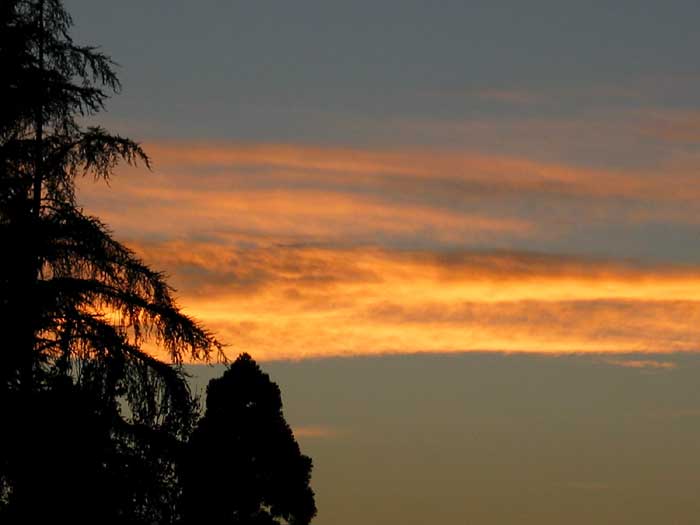 cielos1567.jpg