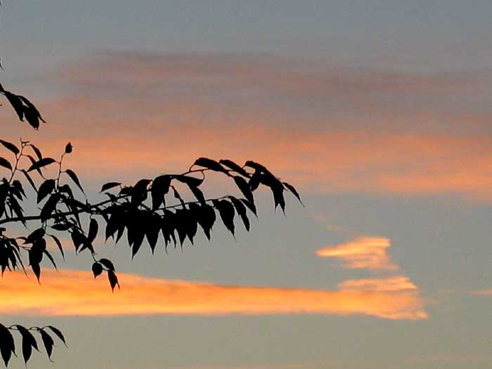 cielos1568.jpg