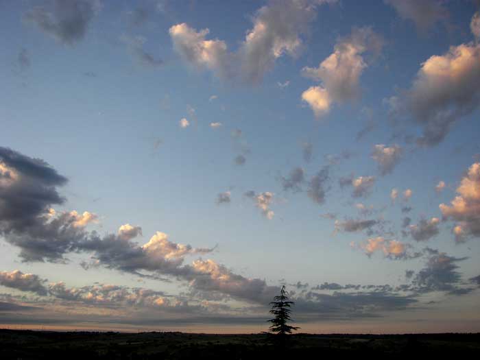 cielos1578.jpg