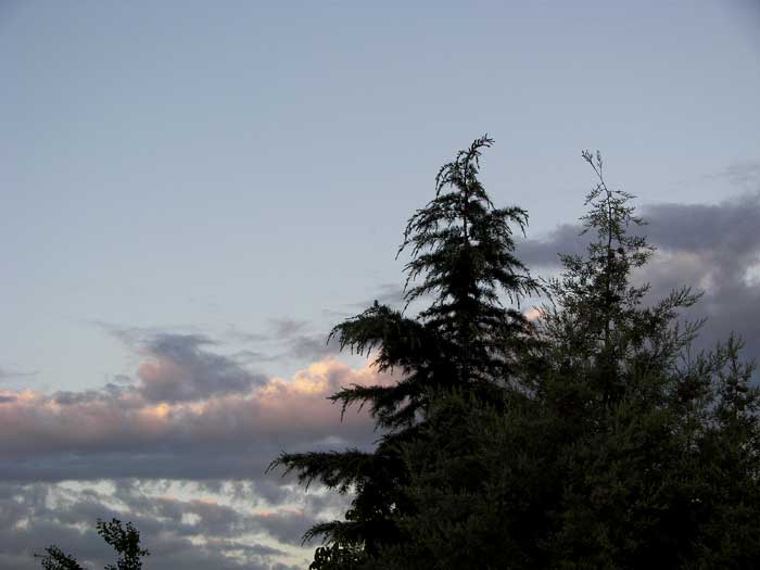 cielos1579.jpg