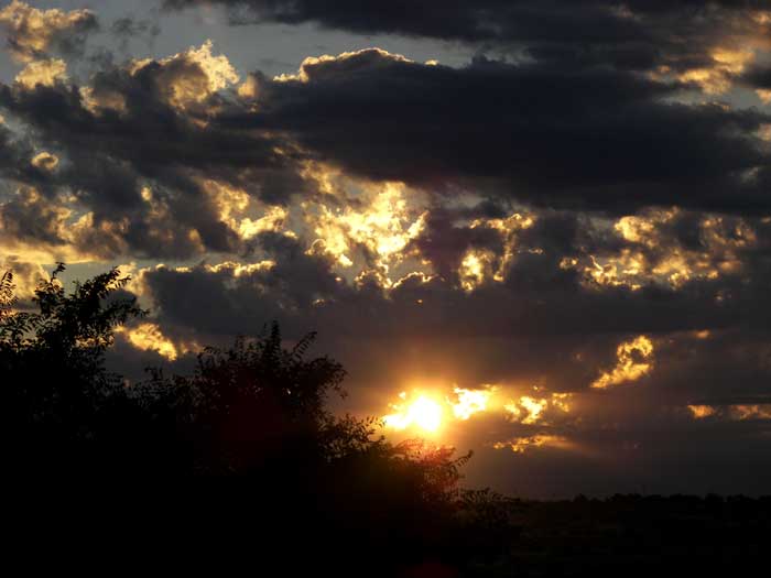 cielos1584.jpg