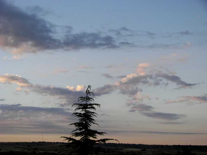 cielos1587.jpg
