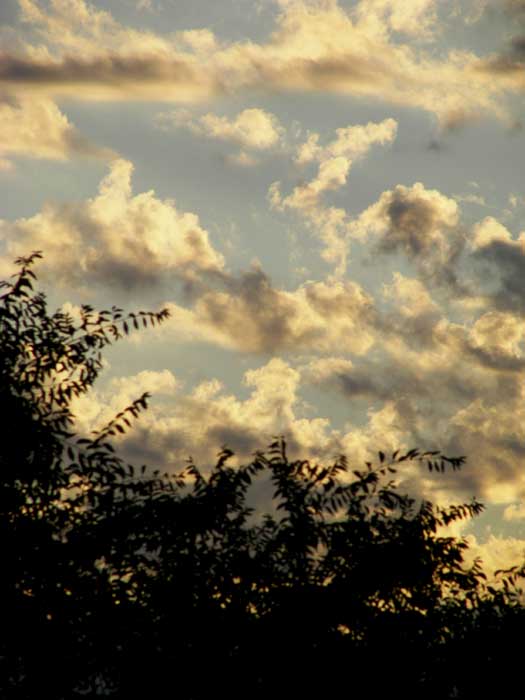 cielos1590.jpg