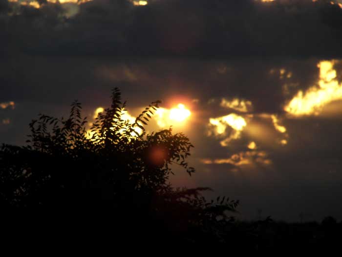 cielos1591.jpg