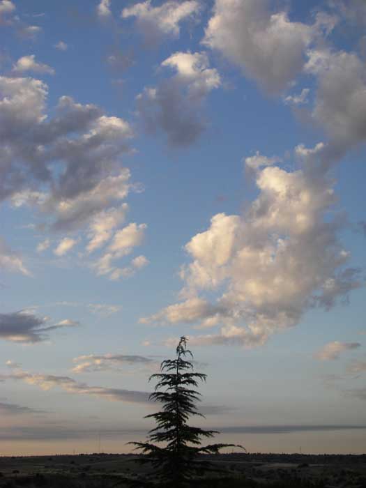 cielos1595.jpg