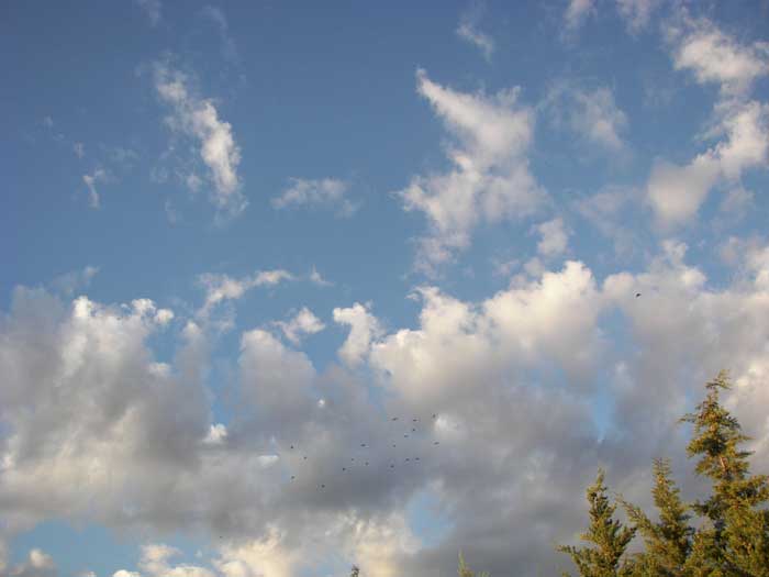 cielos1606.jpg