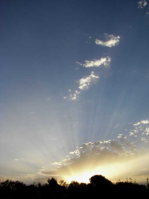 cielos1614.jpg