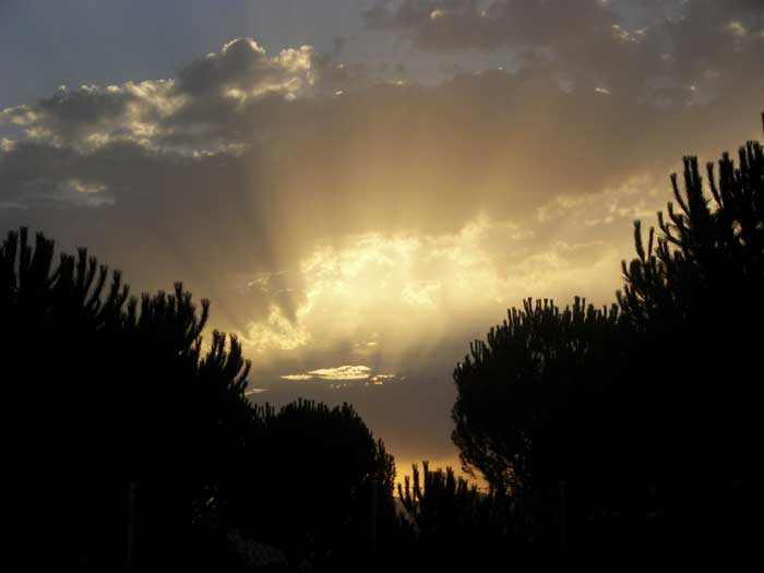 cielos1617.jpg