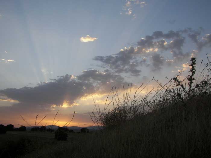 cielos1621.jpg