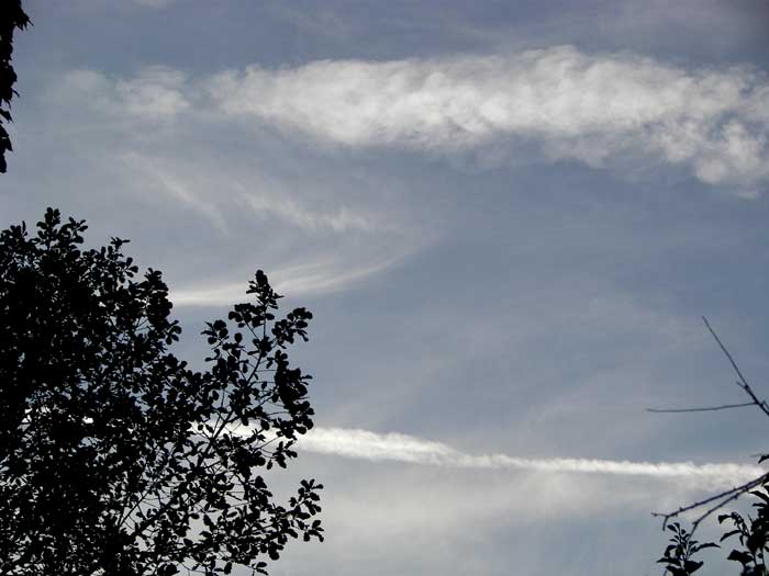 cielos1654.jpg