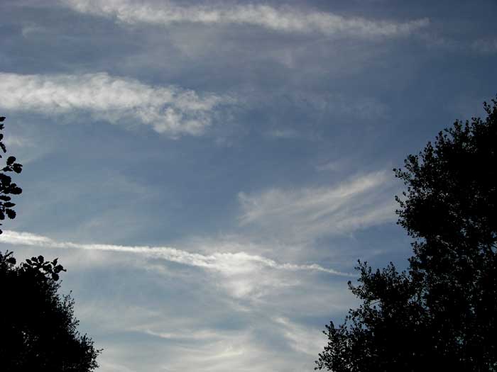 cielos1655.jpg