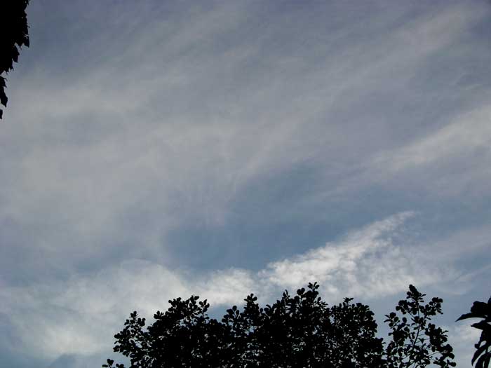 cielos1656.jpg